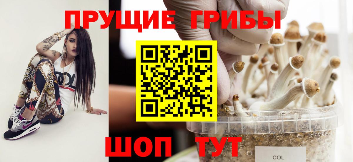 Менделеевск  Псилоцибиновые грибы мухоморы  Вход с VPN 